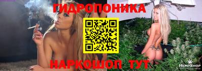 бошки Тверь