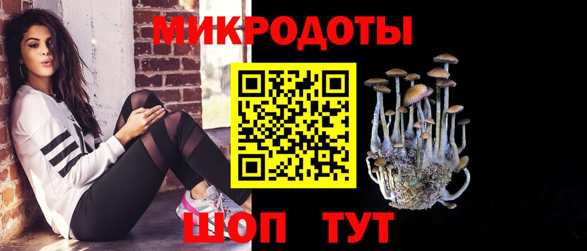 где купить наркотик  Вход с VPN  Галлюциногенные грибы ЛСД  Новодвинск  Галлюциногенные грибы ЛСД 